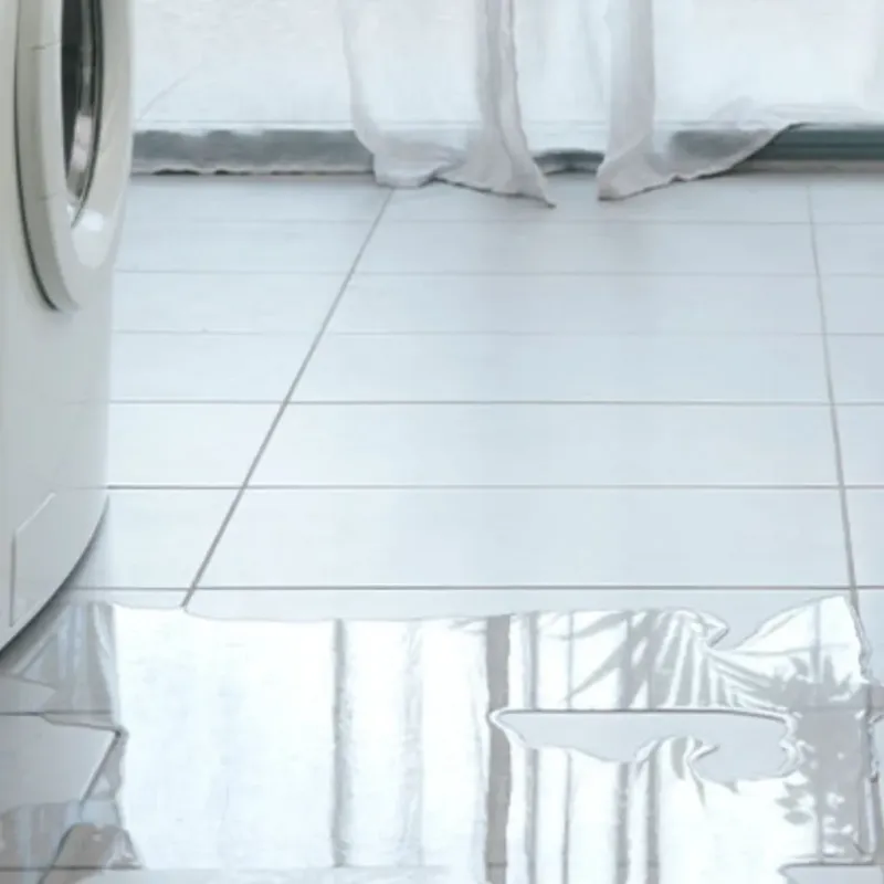 Appliance Leak Cleanup in Woodridge, IL
