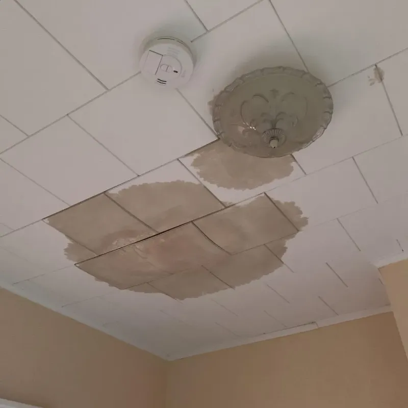 Ceiling Water Damage Repair in Woodridge, IL