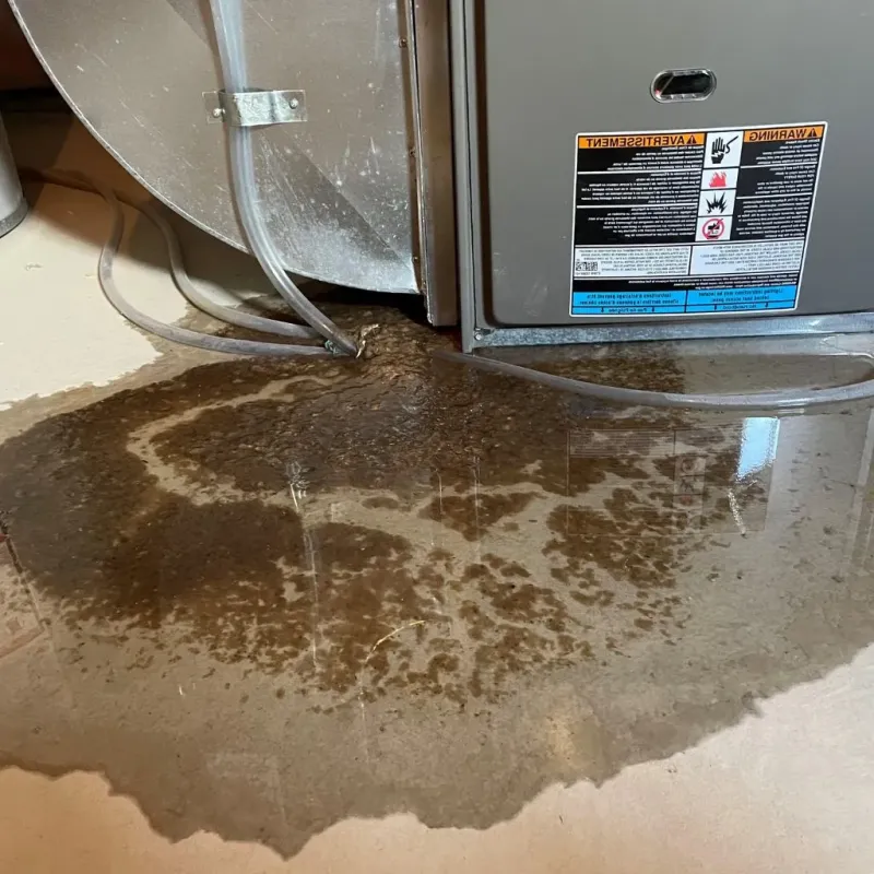 Pipe Burst and Leak Restoration in Woodridge, IL