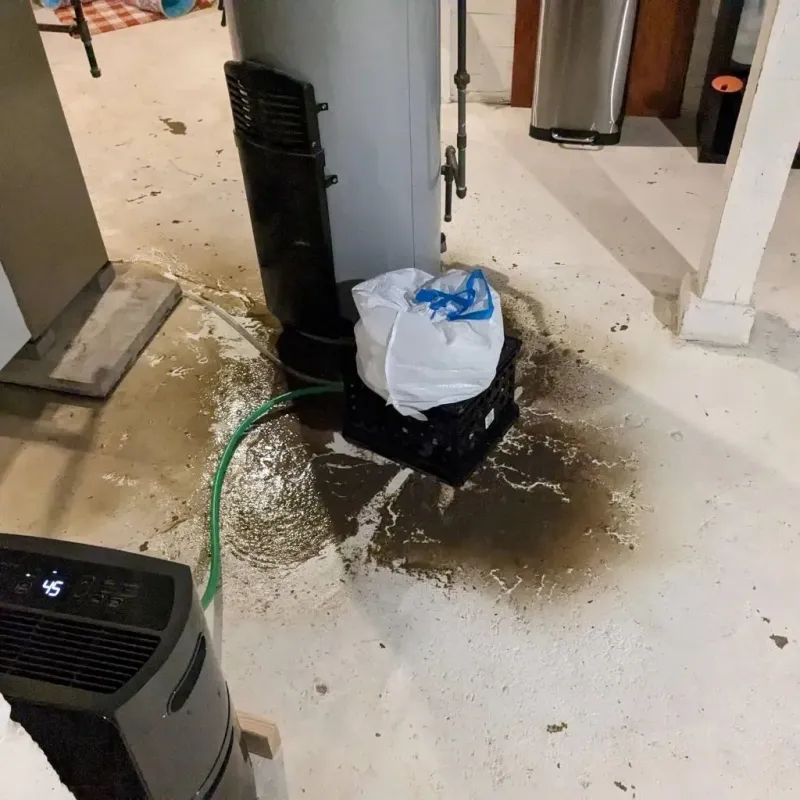 Sewage Backup Cleanup Service in Woodridge, IL